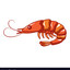 shrimp