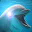 dolphinately