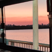 人到洛阳花似锦