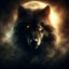 Wolf-6292