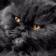 STURMTRUPLER bandit.gg