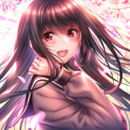 爱吃猫猫的猫粮