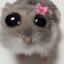 ilya