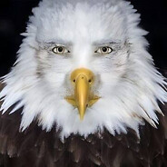 пивное брюхо