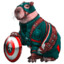 Cappybara
