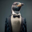 Pingüino Elegante