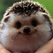 БЕЛООЗЕРСКИЙ