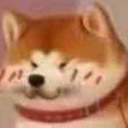 菜菜  大佬  带带