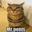 Mr penis52