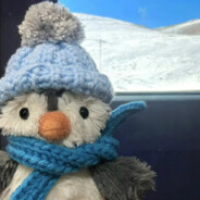 甜心公主爱睡觉