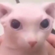 BIG AHH BALLS IN MY MOUTH