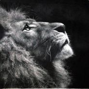 EVANGLION01