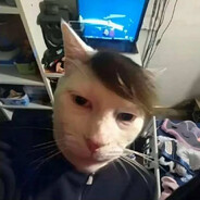 FemboY Master 4k HDMI 10lvl