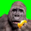 danger_mazzu