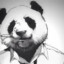 [420]pandaman