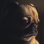 Avatar MOPS