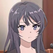 圣又笨的傻姑娘