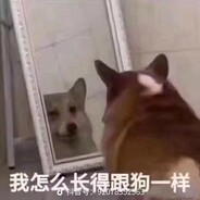 哈尔滨红肠先生