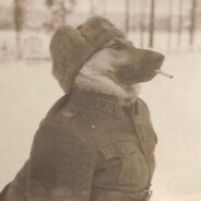 Kangal