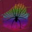 Rainbowspider