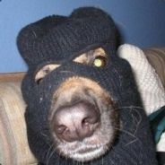 TTerrible - steam id 76561197965680577