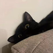 比奇堡第一突破手