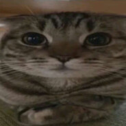 I have autism