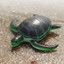 YoungTurtle