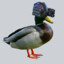 cyber_duck