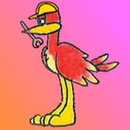 Kazooie Dev avatar