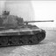 Königstiger