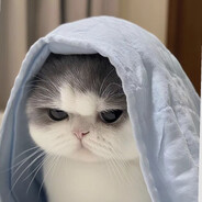 l1ly - steam id 76561199827141803