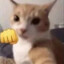 口味王