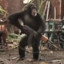 Monke