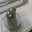 InTheMoss