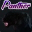 Panther