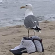 drip too hard