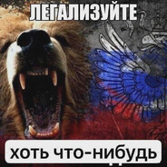 gpo4y cToя avatar