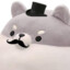Distinguished Chonk