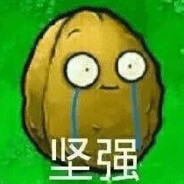 世界单身狗保护协会第11