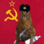 floopa sovietico