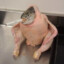 Gevulde Kip met Gerookte Vis