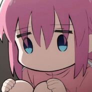 🦐某不会抄作业