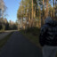n3STY-