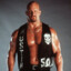 &quot;Stone Cold&quot; Steve Austin