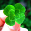 luck_777