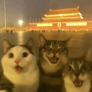 福瑞·芬里尔·沃尔科夫