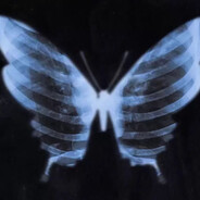 所以温柔是谎言