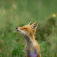 为了你不敢懈怠再累也