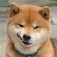 氟西汀